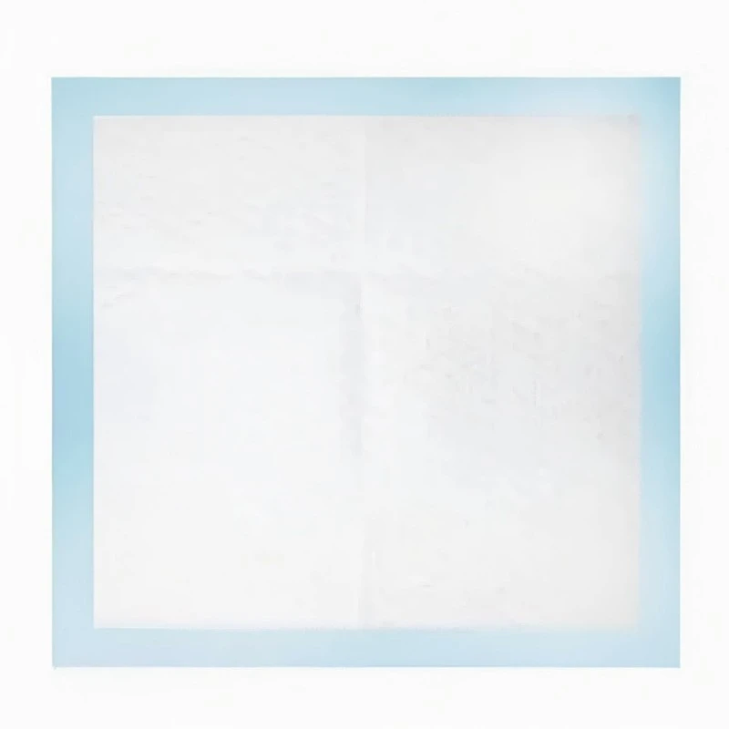 Blue Disposable Underpads best Blue Disposable Underpads best